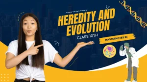 Heredity and Evolution class 10 notes,heredity and evolution class 10