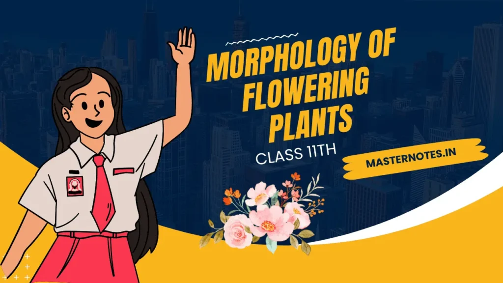 Morphology of Flowering Plants Class 11, Morphology of Flowering Plants,Morphology of Flowering Plants Class 11 Notes
