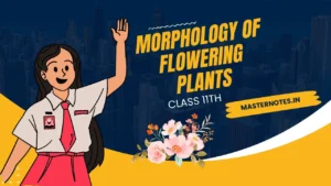 Morphology of Flowering Plants Class 11, Morphology of Flowering Plants,Morphology of Flowering Plants Class 11 Notes